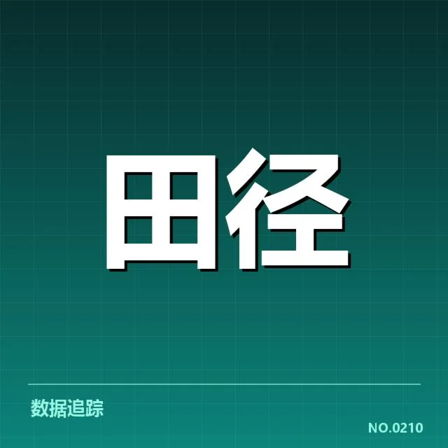 赛事裁判确认的违规事实与判罚细节